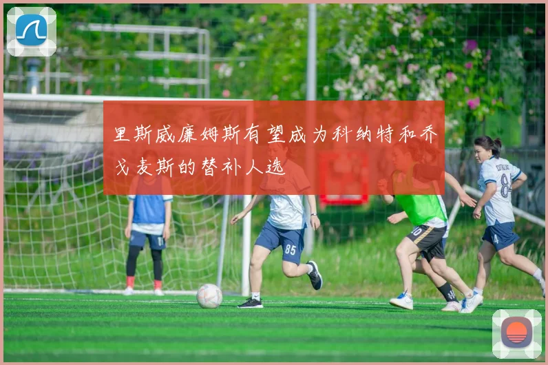 里斯威廉姆斯有望成为科纳特和乔戈麦斯的替补人选