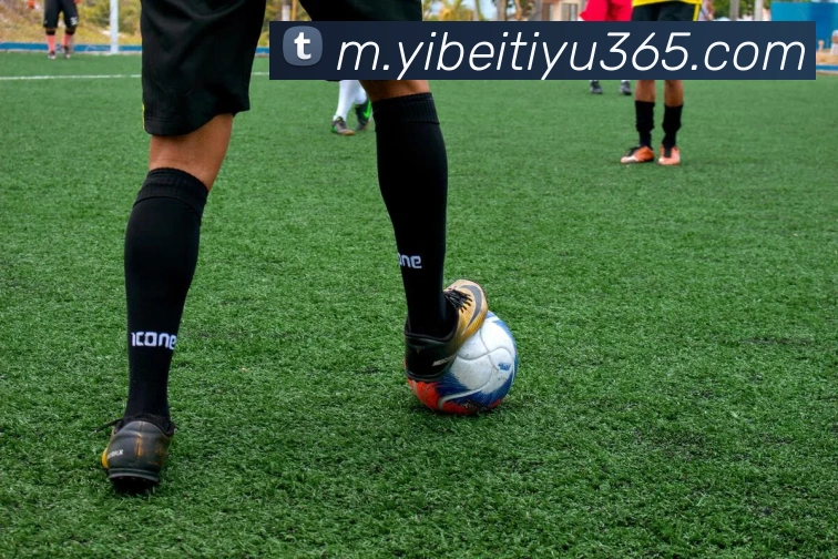 易倍体育发展历程